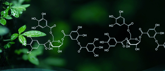 QUÍMICA II